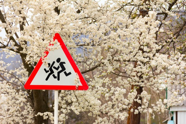 В России стартовала социальная акция «Внимание на дорогу» В России стартовала социальная акция «Внимание на дорогу»